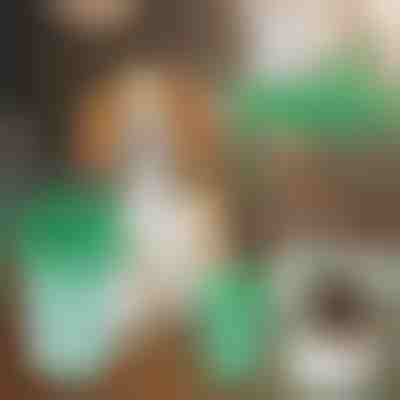 Hundepfoten-Reinigungsbecher | PAWSANI