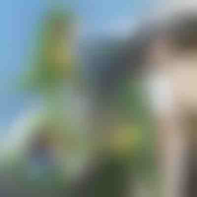 3D-Rucksack in Dinosaurier-Form | DINOBACK