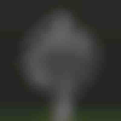 Kinetische Windmühle für den Gartenzauber | WINDARA