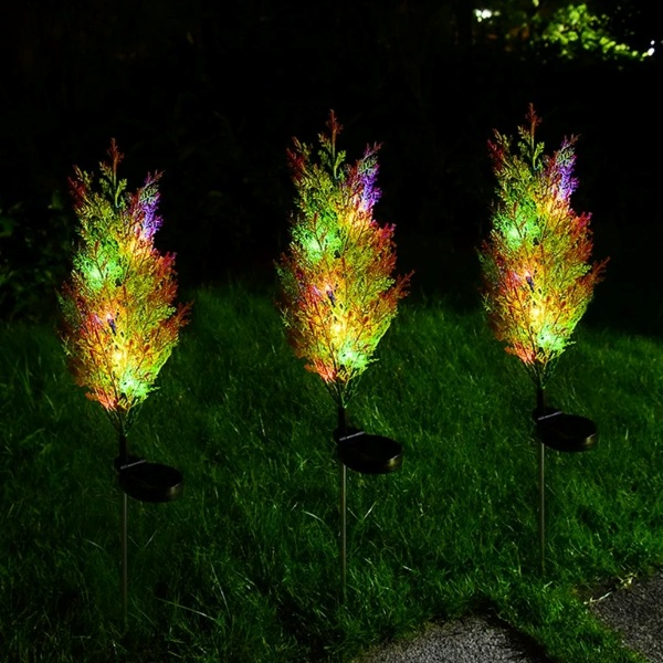 CUPRESSUS