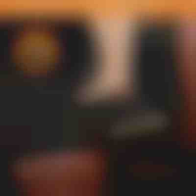 Wasserfeste Hundedecke für den Autositzrück | CARIPET